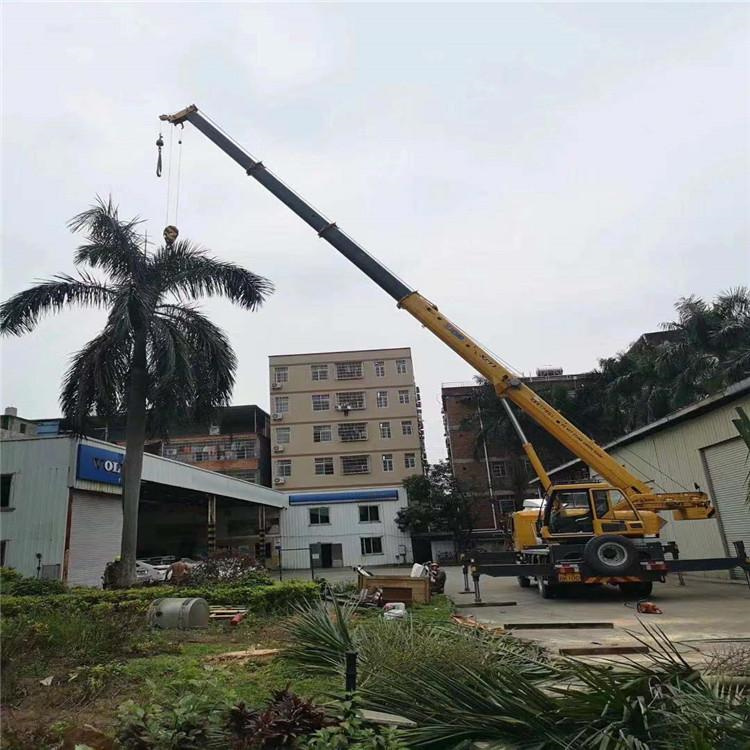 右江吊车吊大树几种方法